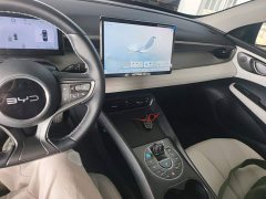 BYD Dolphin 05 DM-i Smart Drive Edition 120KM Flagship - ფოტო 10