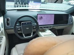 Li Auto L6 Max - ფოტო 10