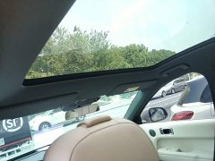 Li Auto L6 Max - ფოტო 18