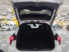Lynk & Co Geely Lynk & Co 01 1.5TD EM-F PM - ფოტო 19