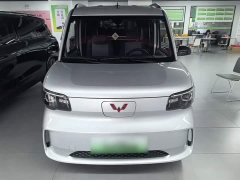 Wuling Zhiguang New Energy 305km Aspiring Edition - ფოტო 3