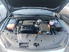 BYD Qin PLUS Glory Edition DM-i 55KM Leading - ფოტო 20