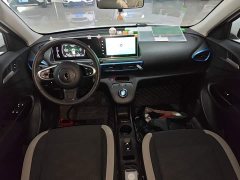 ORA White Cat 2020 305km Luxury - ფოტო 10