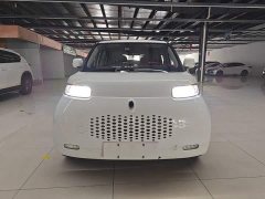 ORA White Cat 2020 305km Luxury - ფოტო 3