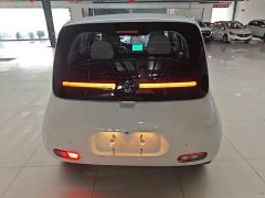 ORA White Cat 2020 305km Luxury - ფოტო 6