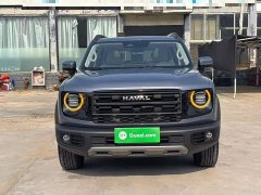 Great Wall Dachshund 2026 1.5T DCT Border Collie Edition - ფოტო 3