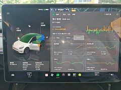 Tesla Model Y 2024 Rear-Wheel Drive - ფოტო 12