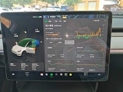 Tesla Model Y 2024 Rear-Wheel Drive - ფოტო 13