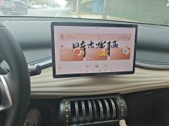 BYD Yuan Plus Glory Edition 430KM Transcend - ფოტო 13