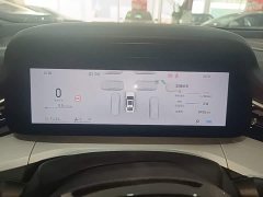 Geely Xingrui 2026 Oriental Radiance 2.0T Diesel Moonlight Edition - ფოტო 12