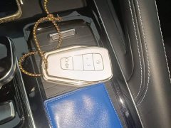 Geely Xingrui 2026 Oriental Radiance 2.0T Diesel Moonlight Edition - ფოტო 9