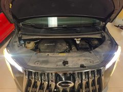 GAC Aion M8 Master Series 400T Flagship - ფოტო 20