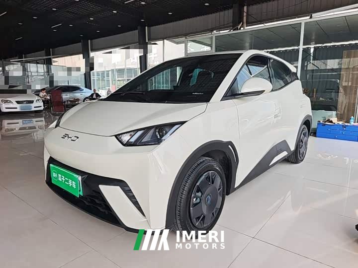 BYD Seagull 305km Vitality Edition