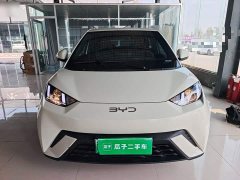 BYD Seagull 2025 305km Vitality Edition - ფოტო 3