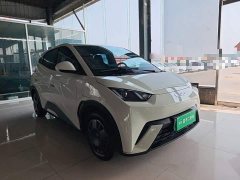 BYD Seagull 2025 305km Vitality Edition - ფოტო 4