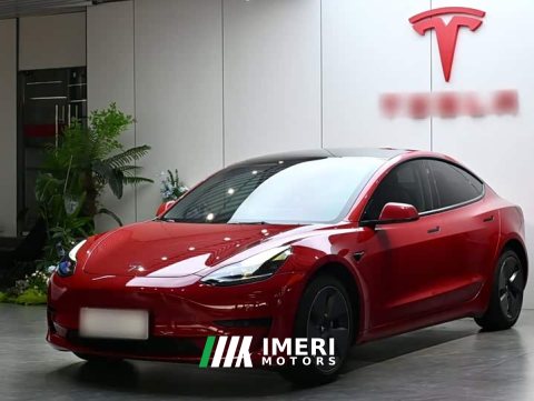 2022 Tesla Model 3 Rear-Wheel Drive - ავტომობილი ჩინეთიდან