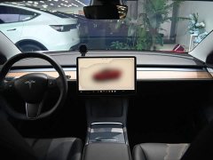 Tesla Model 3 Rear-Wheel Drive - ფოტო 10
