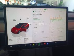 Tesla Model 3 Rear-Wheel Drive - ფოტო 12