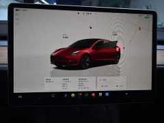 Tesla Model 3 Rear-Wheel Drive - ფოტო 13
