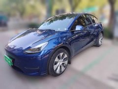 Tesla Model Y Long Range All-Wheel Drive 3D7 - ფოტო 1