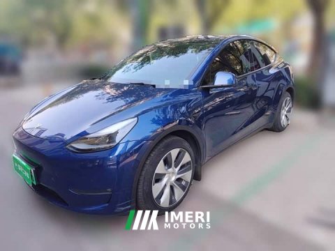 2021 Tesla Model Y Long Range All-Wheel Drive 3D7 - ავტომობილი ჩინეთიდან