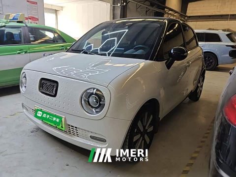 2021 ORA Black Cat 351km Luxury - ავტომობილი ჩინეთიდან