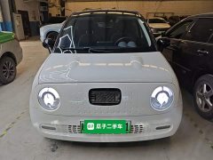 ORA Black Cat 351km Luxury - ფოტო 3