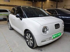 ORA Black Cat 351km Luxury - ფოტო 4