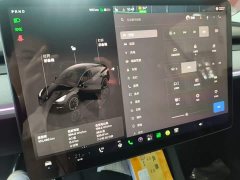 Tesla Model Y Long Range All-Wheel Drive - ფოტო 12