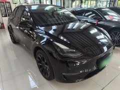 Tesla Model Y Long Range All-Wheel Drive - ფოტო 4