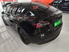 Tesla Model Y Long Range All-Wheel Drive - ფოტო 5