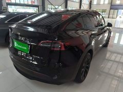 Tesla Model Y Long Range All-Wheel Drive - ფოტო 7
