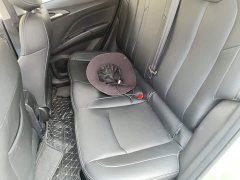 Neta V 2022 Tide 300 Lite LFP - ფოტო 17