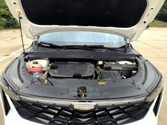 Geely Boyue COOL 1.5TD Smart Connection Edition - ფოტო 20