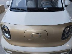 FAW Besturn Xiaoma 222km Cute Horse - ფოტო 20