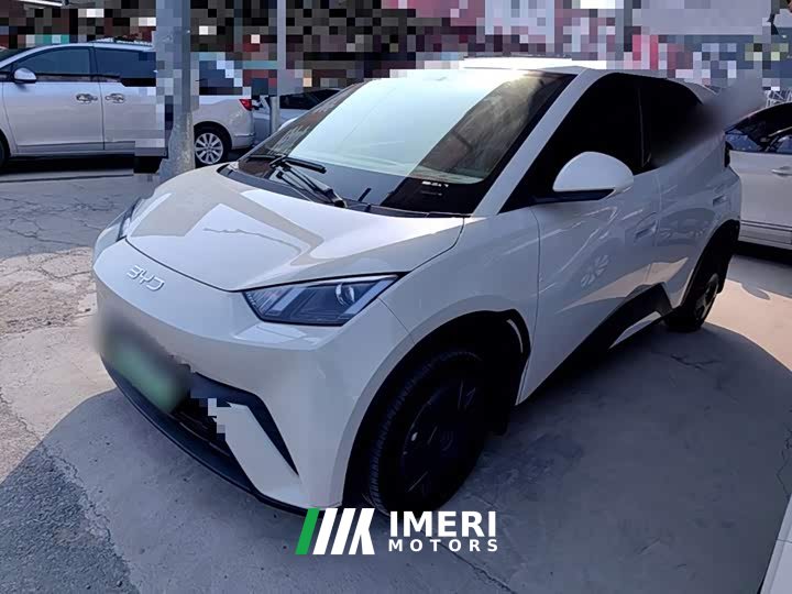 BYD Seagull 305km Vitality Edition - ავტომობილი ჩინეთიდან