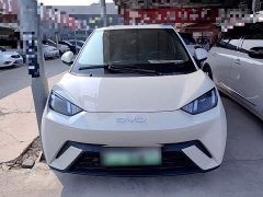 BYD Seagull 305km Vitality Edition - ფოტო 3