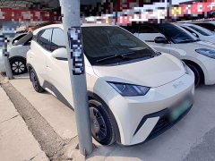 BYD Seagull 305km Vitality Edition - ფოტო 4
