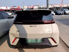 BYD Seagull 305km Vitality Edition - ფოტო 6