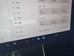 Tesla Model Y Rear-Wheel Drive - ფოტო 12