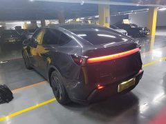 Tesla Model Y Rear-Wheel Drive - ფოტო 5