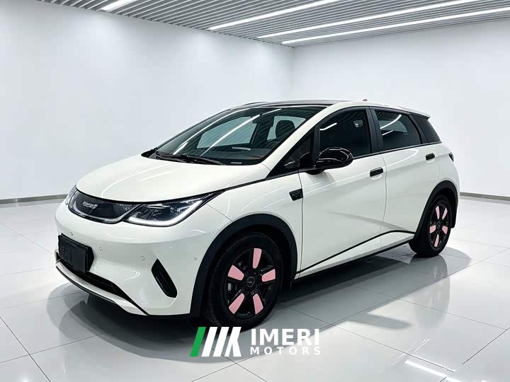 BYD Dolphin Smart Drive 410km Fashion Edition - ავტომობილი ჩინეთიდან