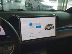 BYD Dolphin Smart Drive 410km Fashion Edition - ფოტო 13