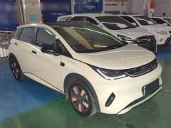 BYD Dolphin Smart Drive 410km Fashion Edition - ფოტო 4