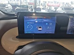 Wuling Binguo 333km Joy Edition - ფოტო 12