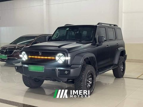 2022 Tank 300 2021 Off-Road Edition 2.0T Conqueror - ავტომობილი ჩინეთიდან