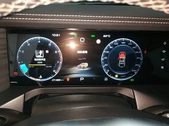 Tank 300 2021 Off-Road Edition 2.0T Conqueror - ფოტო 12