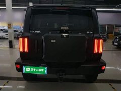 Tank 300 2021 Off-Road Edition 2.0T Conqueror - ფოტო 6
