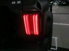 Tank 300 2021 Off-Road Edition 2.0T Conqueror - ფოტო 8