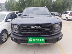 Great Wall Dachshund 2026 1.5T DCT Border Collie Edition - ფოტო 3